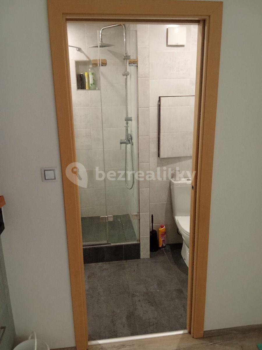 1 bedroom with open-plan kitchen flat to rent, 53 m², Makovského, Prague, Prague