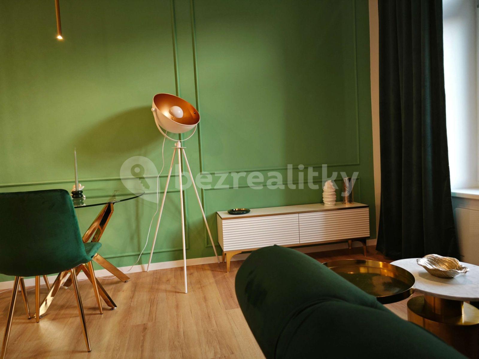 1 bedroom with open-plan kitchen flat to rent, 33 m², Turnovská, Prague, Prague