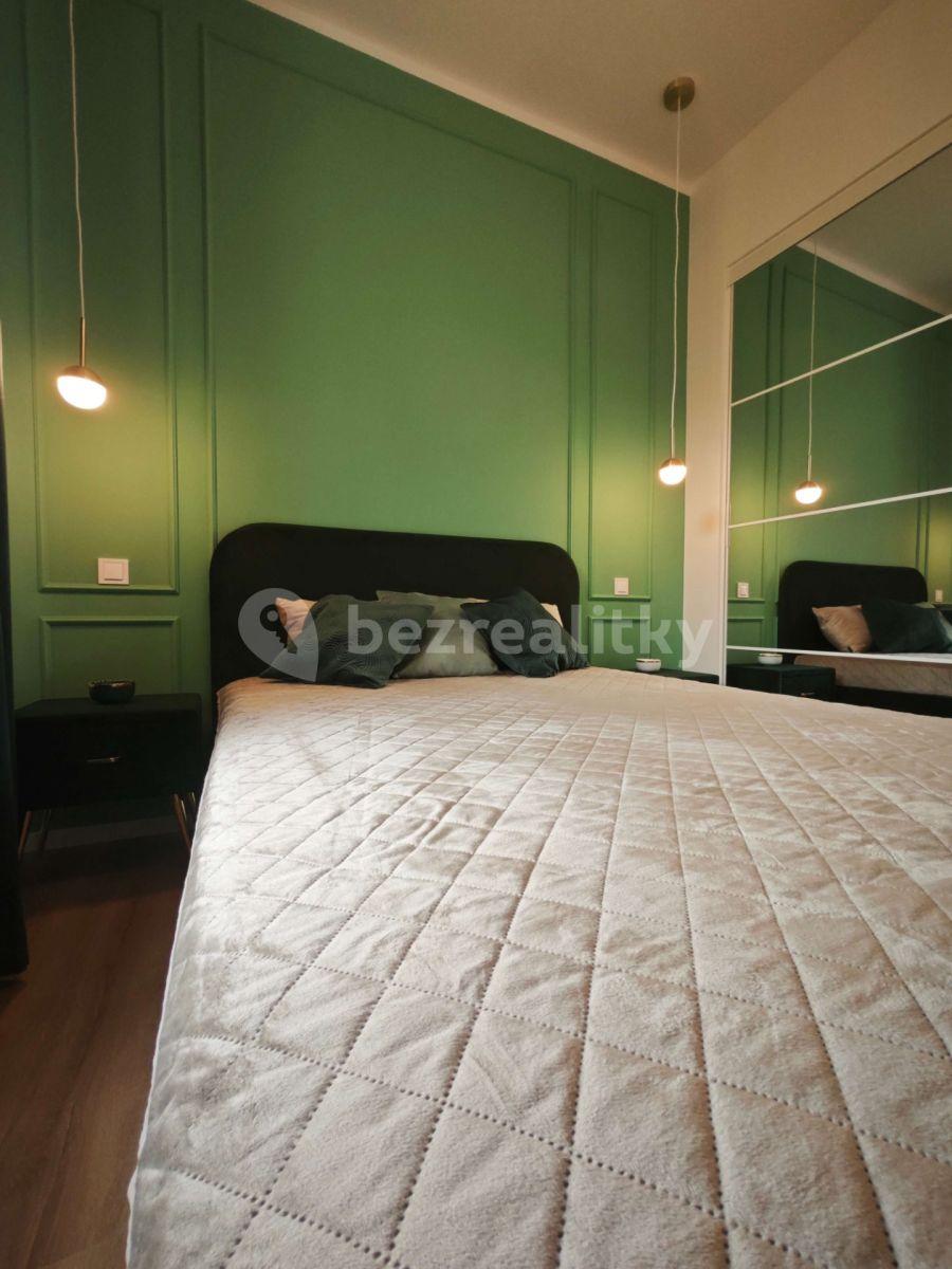 1 bedroom with open-plan kitchen flat to rent, 33 m², Turnovská, Prague, Prague