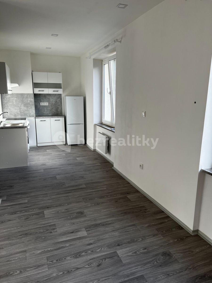 Studio flat to rent, 40 m², Družstevní, Týniště nad Orlicí, Královéhradecký Region