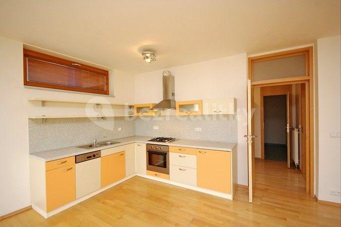 1 bedroom with open-plan kitchen flat to rent, 76 m², U Stanice, Prague, Prague