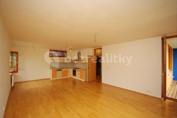 1 bedroom with open-plan kitchen flat to rent, 76 m², U Stanice, Prague, Prague