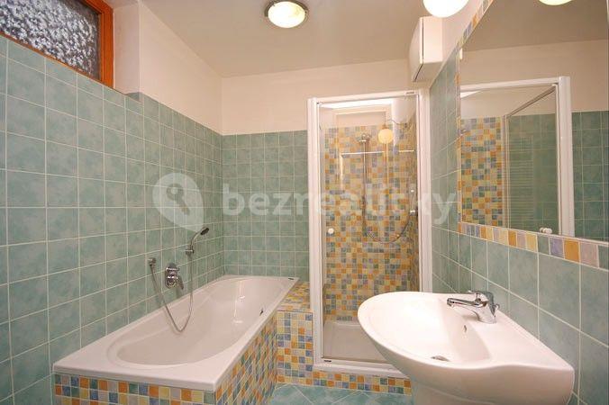 1 bedroom with open-plan kitchen flat to rent, 76 m², U Stanice, Prague, Prague