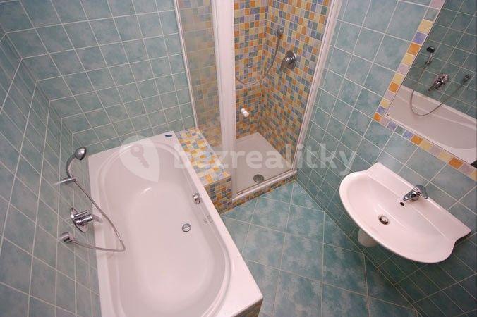 1 bedroom with open-plan kitchen flat to rent, 76 m², U Stanice, Prague, Prague