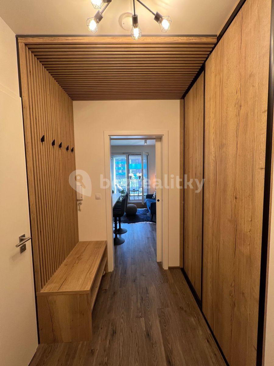 Studio flat to rent, 40 m², Olgy Havlové, Prague, Prague