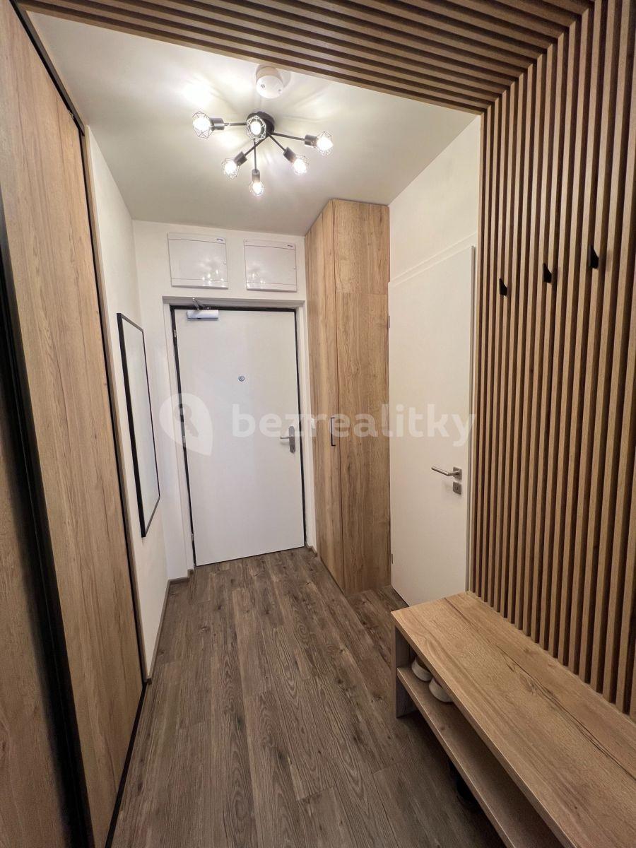 Studio flat to rent, 40 m², Olgy Havlové, Prague, Prague