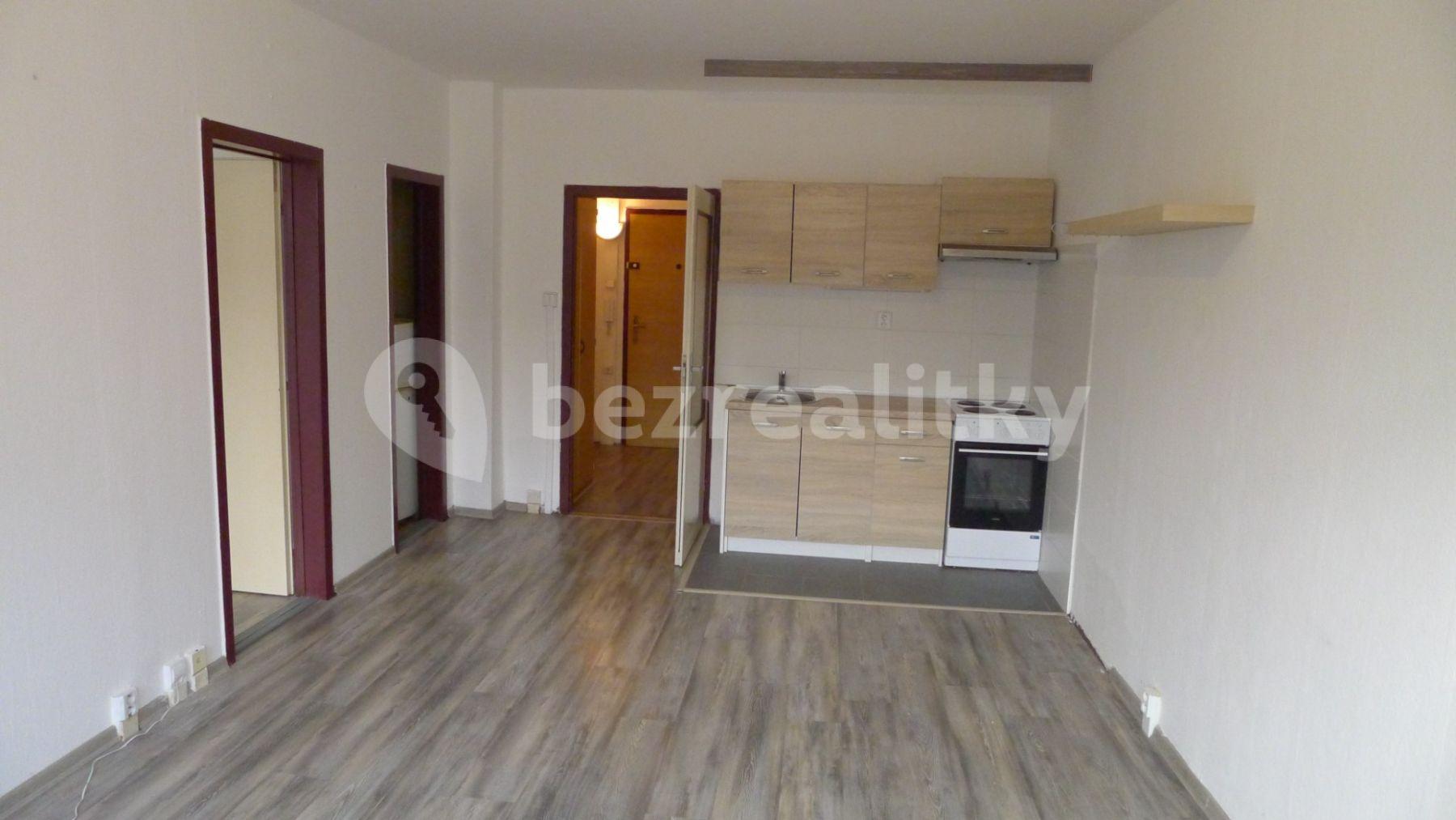 1 bedroom with open-plan kitchen flat to rent, 45 m², Pod Lysinami, Prague, Prague