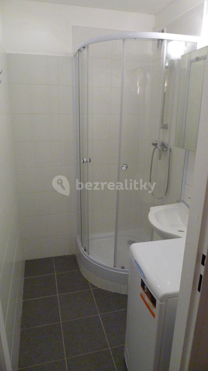 1 bedroom with open-plan kitchen flat to rent, 45 m², Pod Lysinami, Prague, Prague