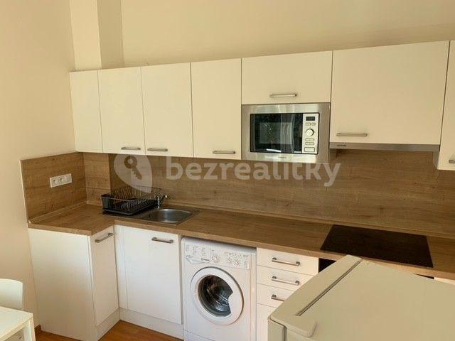 1 bedroom with open-plan kitchen flat to rent, 40 m², Táboritská, Prague, Prague