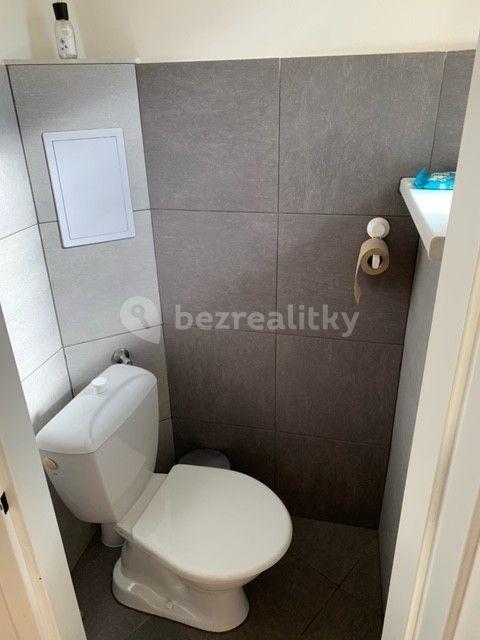 1 bedroom with open-plan kitchen flat to rent, 40 m², Táboritská, Prague, Prague