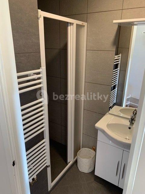 1 bedroom with open-plan kitchen flat to rent, 40 m², Táboritská, Prague, Prague