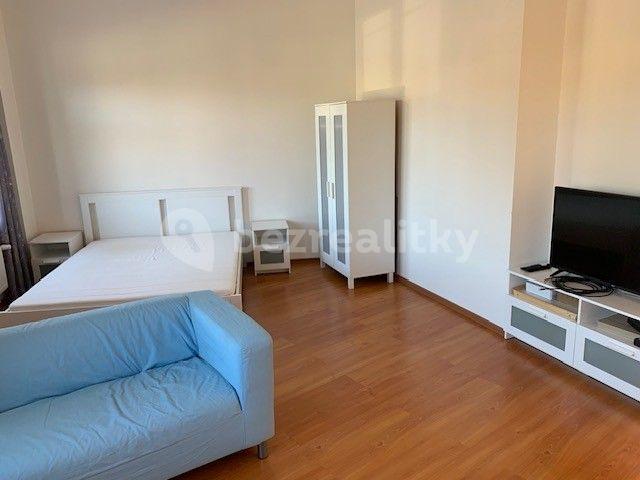 1 bedroom with open-plan kitchen flat to rent, 40 m², Táboritská, Prague, Prague