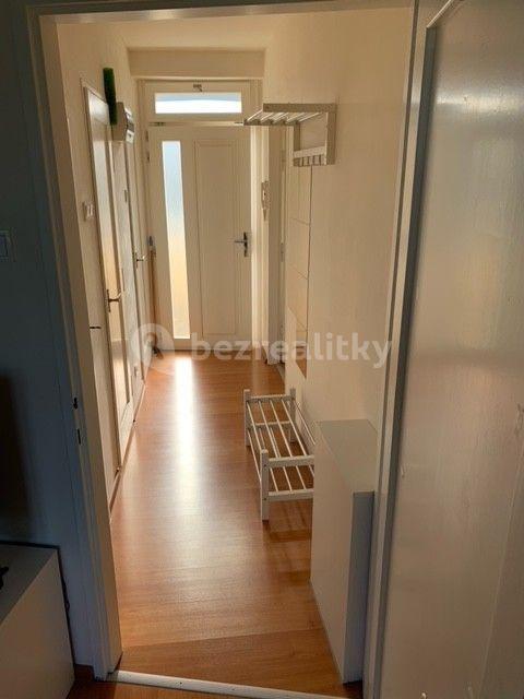 1 bedroom with open-plan kitchen flat to rent, 40 m², Táboritská, Prague, Prague