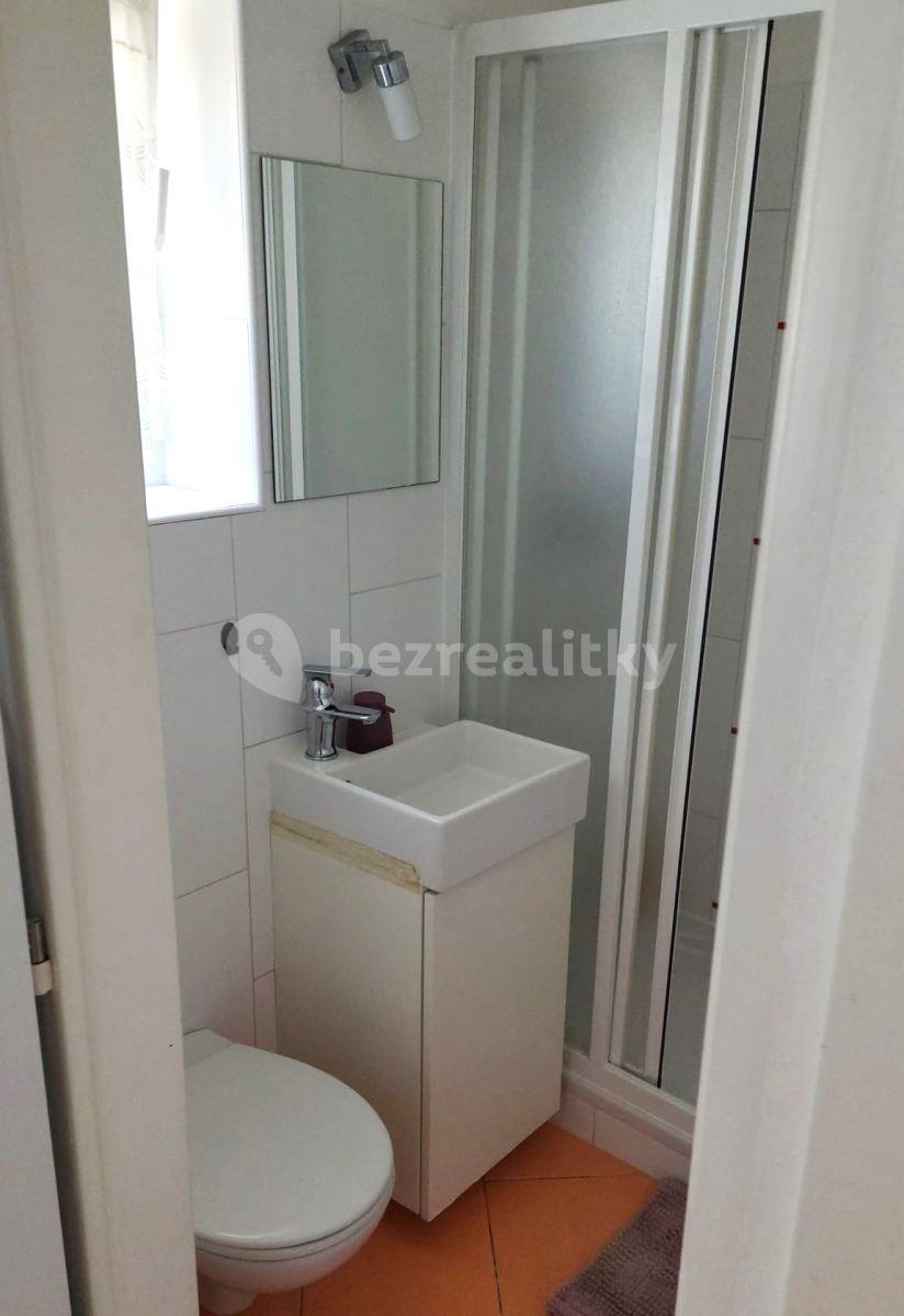 Studio flat to rent, 23 m², U Zahradního města, Prague, Prague