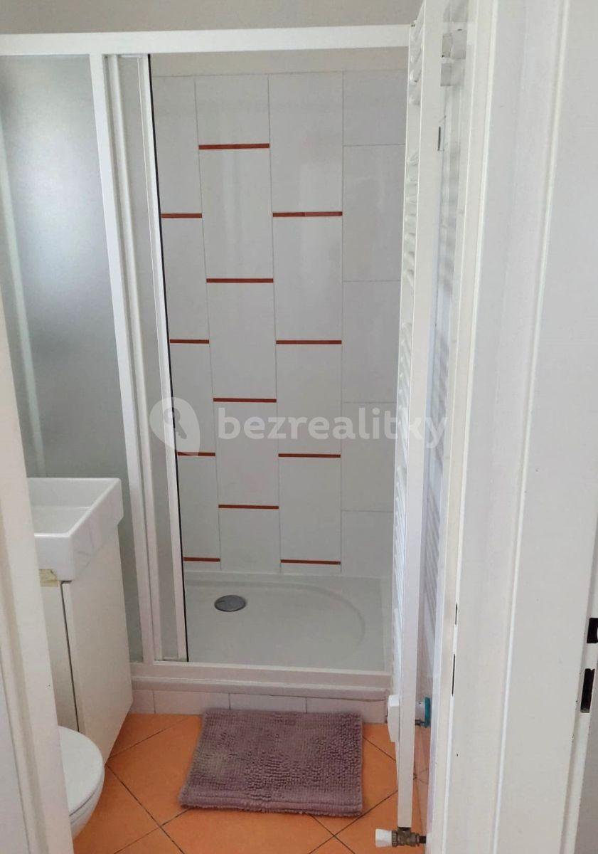 Studio flat to rent, 23 m², U Zahradního města, Prague, Prague