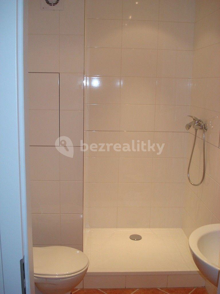 Small studio flat to rent, 21 m², Leopolda Peka, Říčany, Středočeský Region