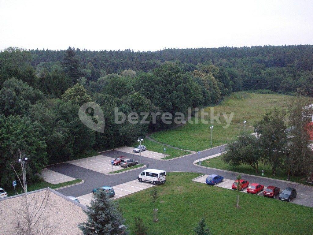 Small studio flat to rent, 21 m², Leopolda Peka, Říčany, Středočeský Region