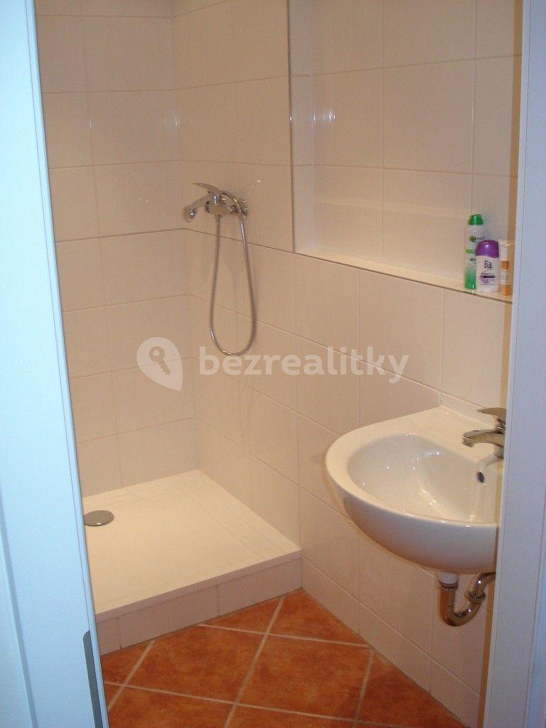 Small studio flat to rent, 21 m², Leopolda Peka, Říčany, Středočeský Region