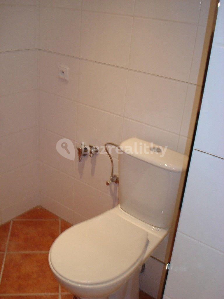 Small studio flat to rent, 21 m², Leopolda Peka, Říčany, Středočeský Region