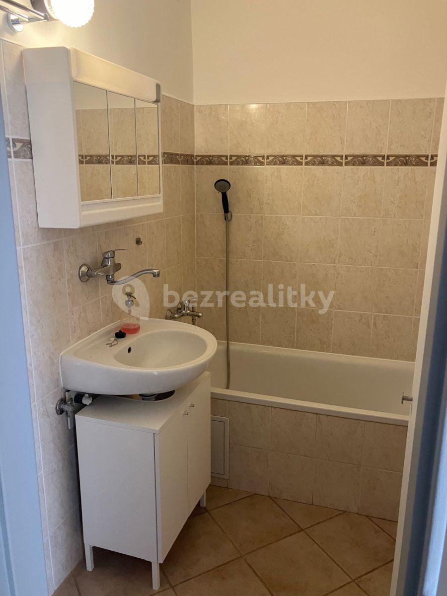 1 bedroom with open-plan kitchen flat to rent, 62 m², Hoškova, Prague, Prague