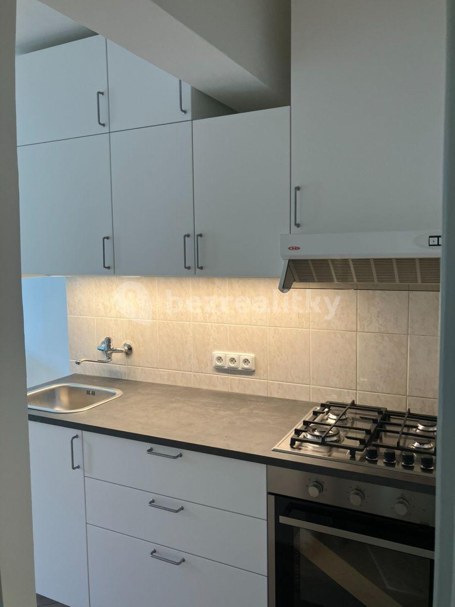 1 bedroom with open-plan kitchen flat to rent, 62 m², Hoškova, Prague, Prague