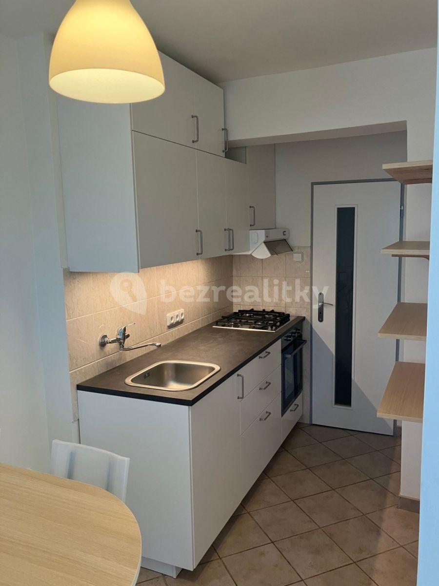 1 bedroom with open-plan kitchen flat to rent, 62 m², Hoškova, Prague, Prague