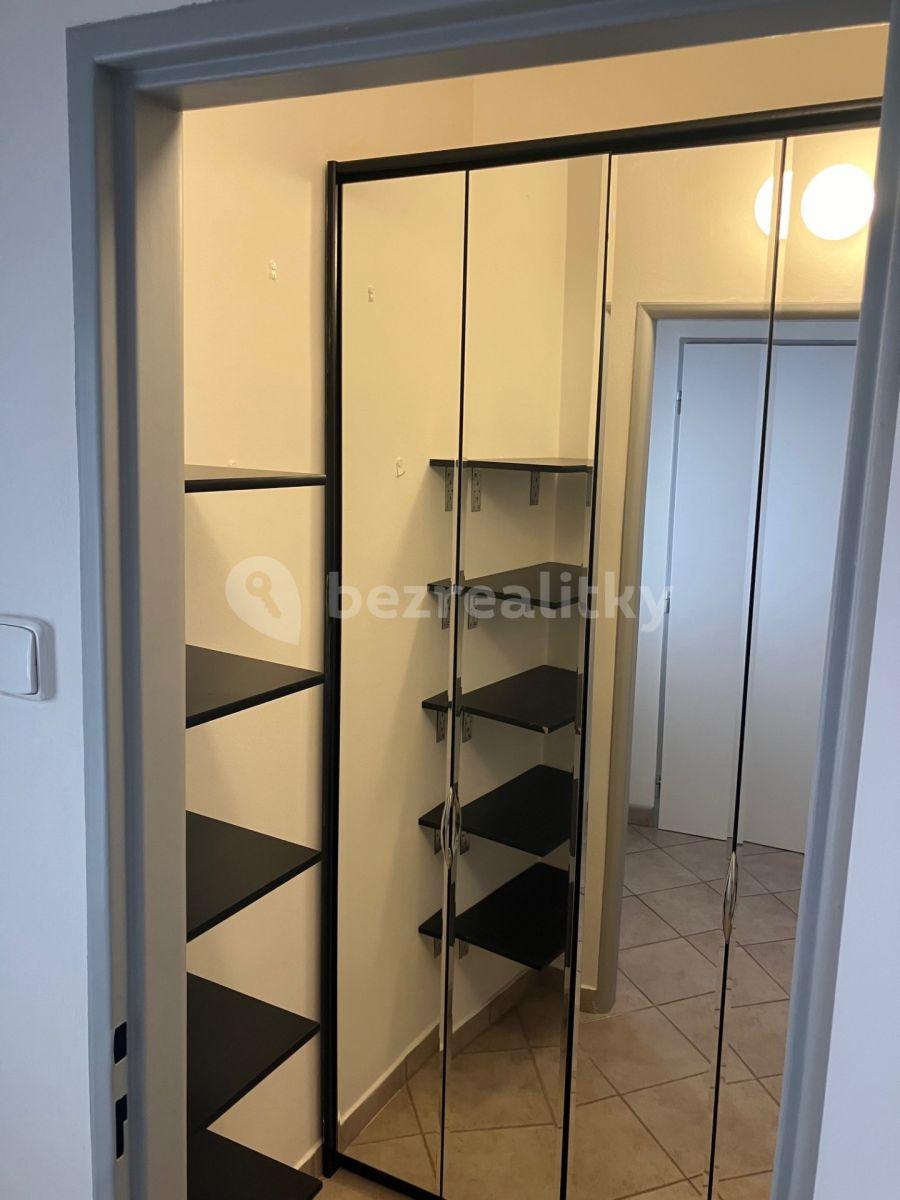 1 bedroom with open-plan kitchen flat to rent, 62 m², Hoškova, Prague, Prague