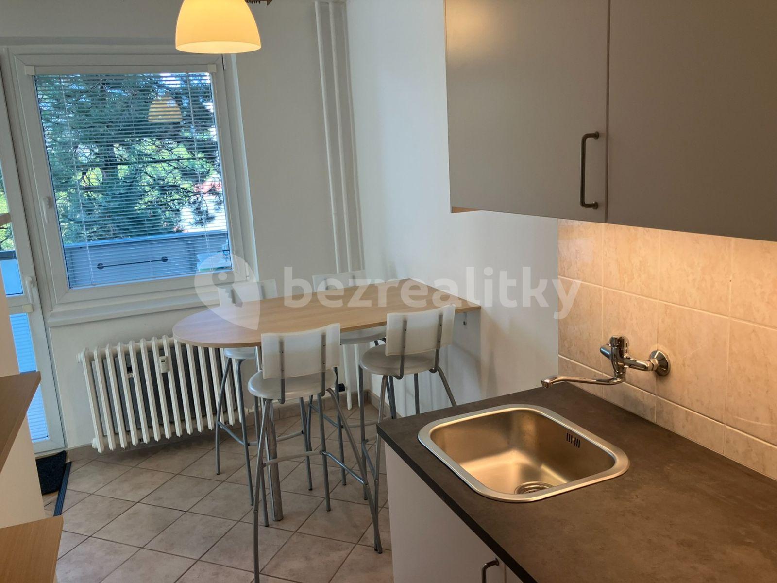 1 bedroom with open-plan kitchen flat to rent, 62 m², Hoškova, Prague, Prague