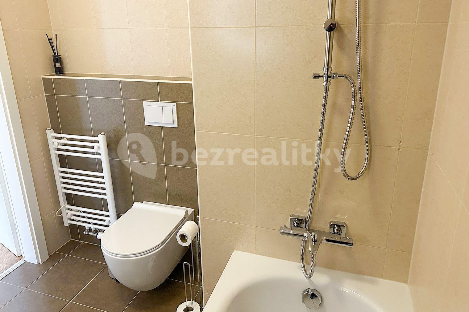 1 bedroom flat to rent, 40 m², Olgy Havlové, Prague, Prague