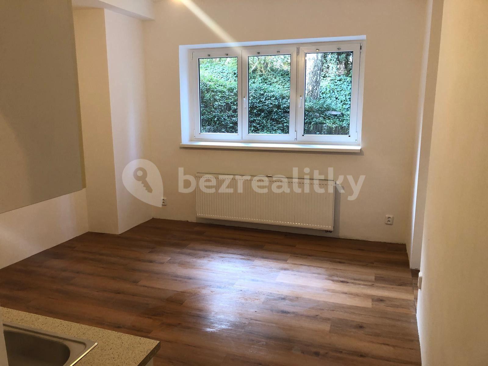 1 bedroom with open-plan kitchen flat to rent, 40 m², České družiny, Prague, Prague