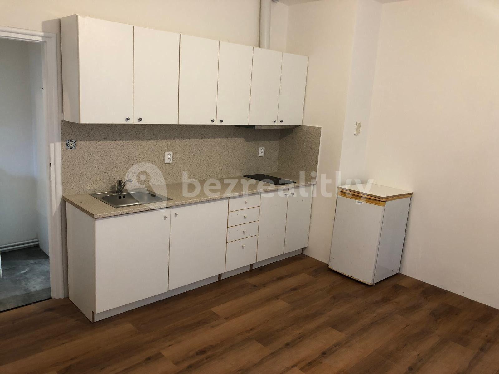 1 bedroom with open-plan kitchen flat to rent, 40 m², České družiny, Prague, Prague