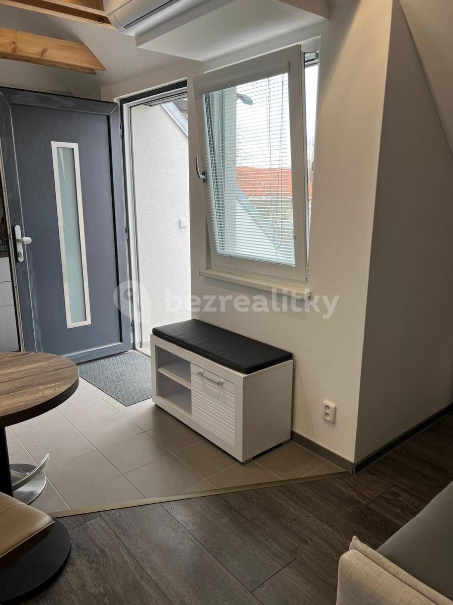 Studio flat to rent, 45 m², U Svodnice, Prague, Prague