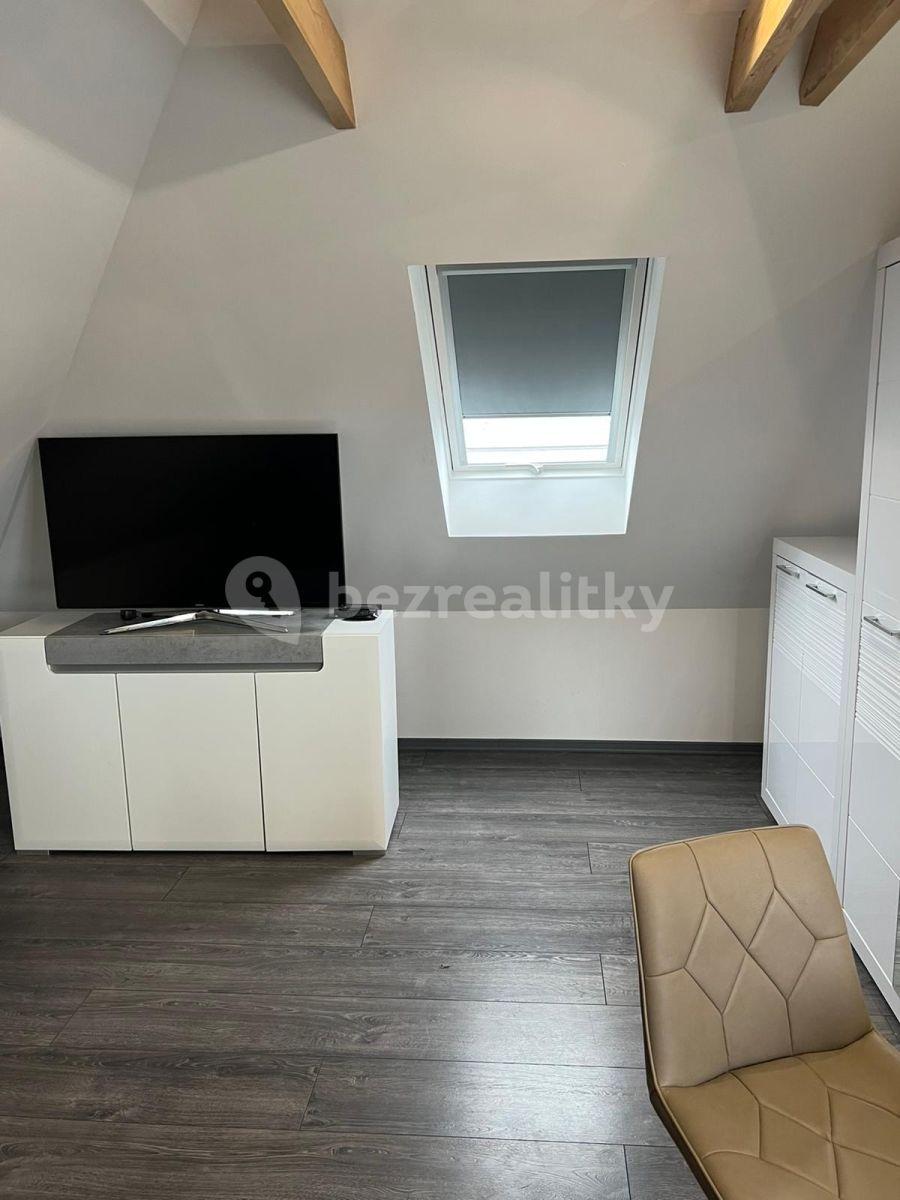 Studio flat to rent, 45 m², U Svodnice, Prague, Prague