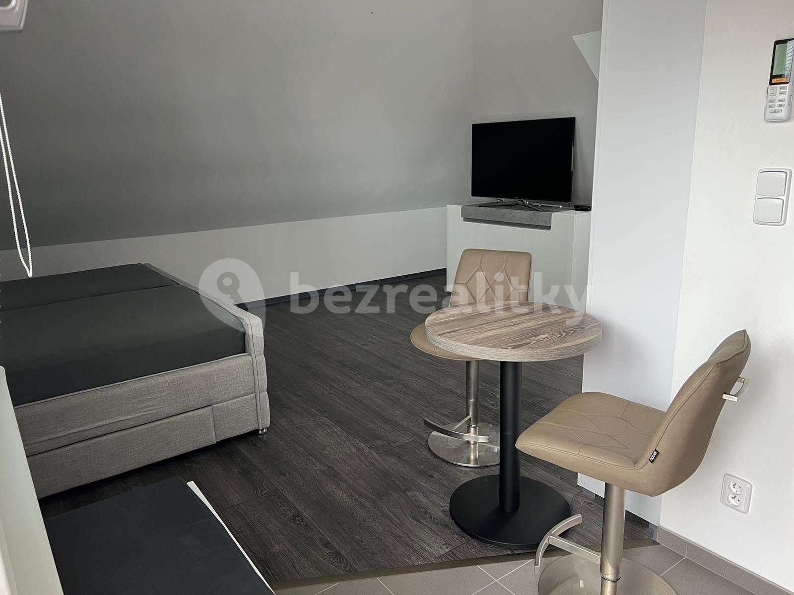 Studio flat to rent, 45 m², U Svodnice, Prague, Prague