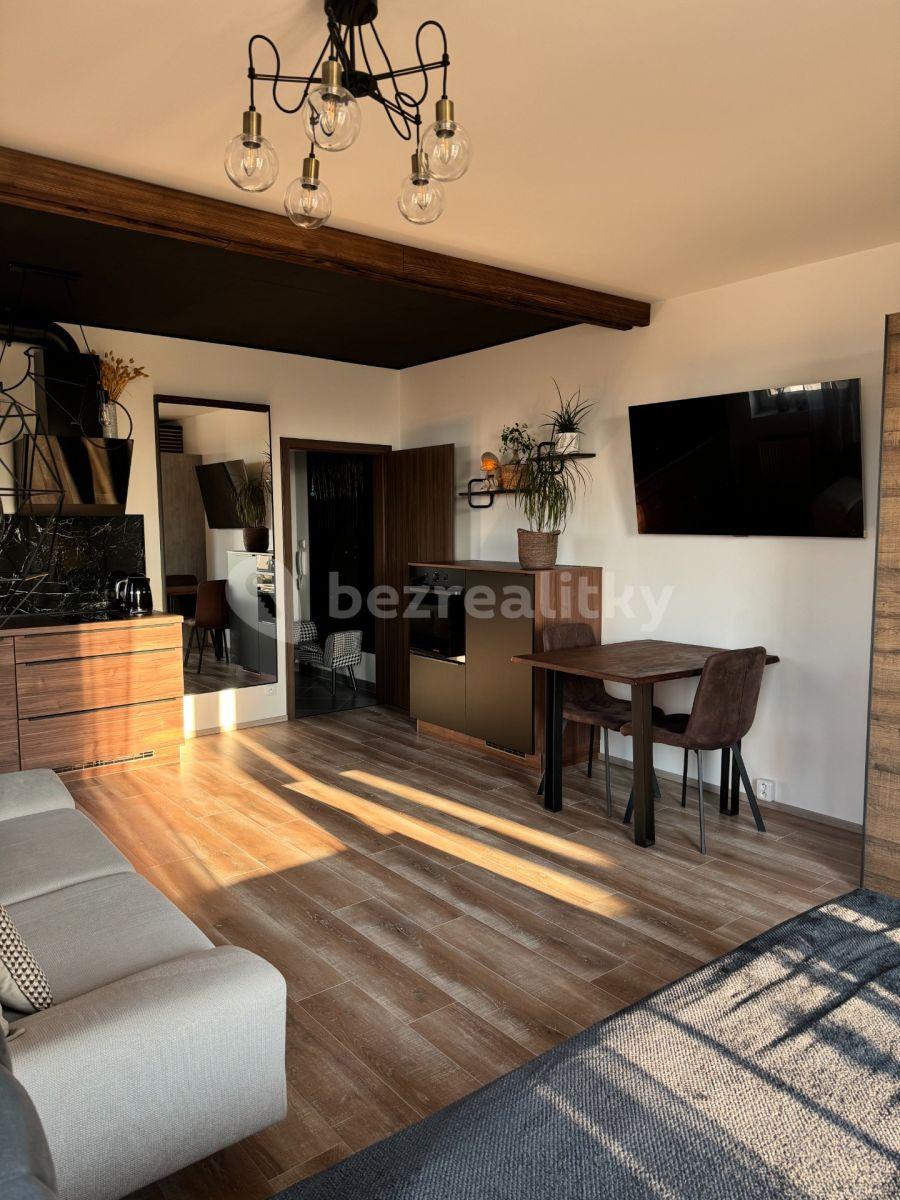 Studio flat to rent, 37 m², Honzíkova, Prague, Prague