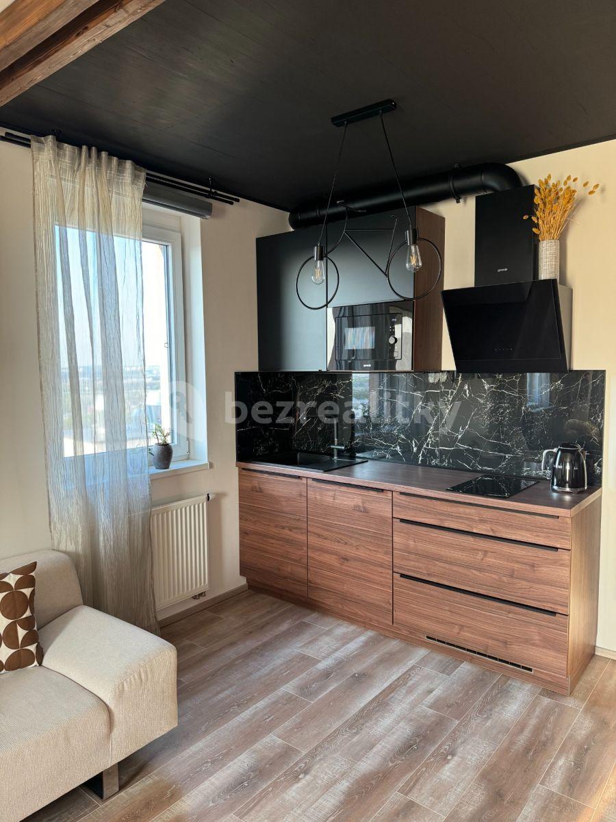 Studio flat to rent, 37 m², Honzíkova, Prague, Prague