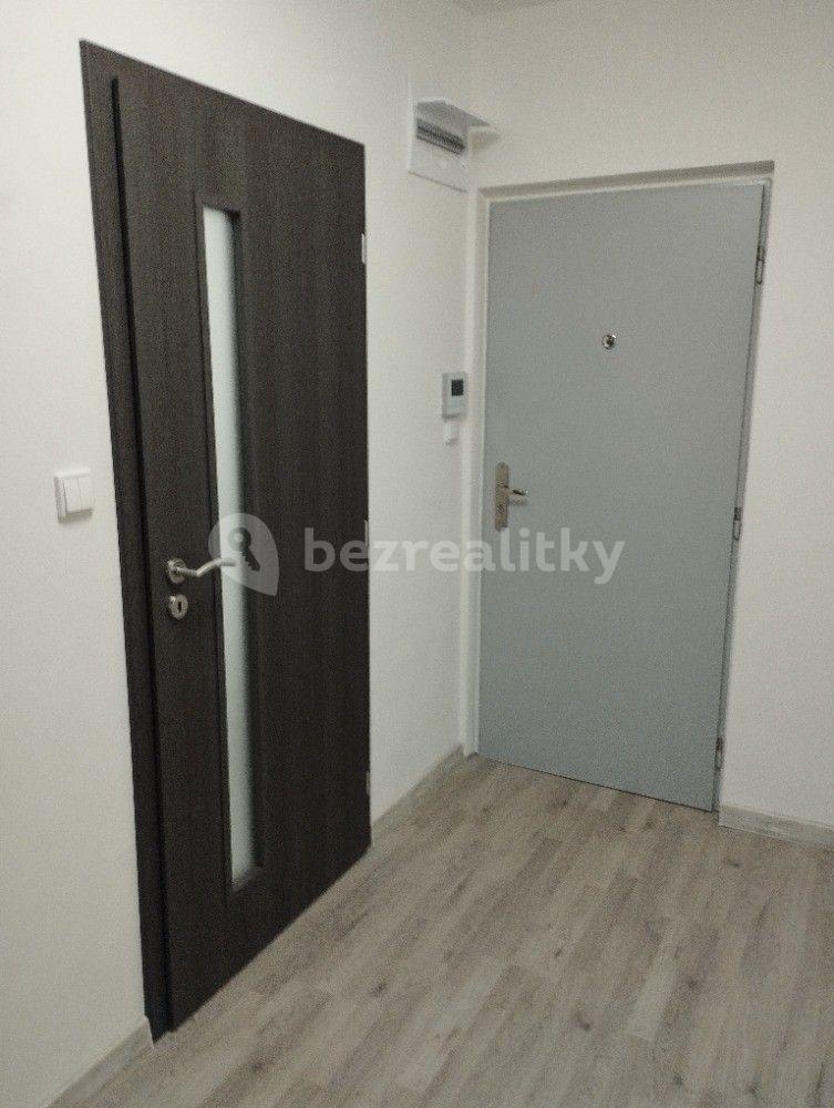 1 bedroom with open-plan kitchen flat to rent, 41 m², Nad Stadionem, Králův Dvůr, Středočeský Region