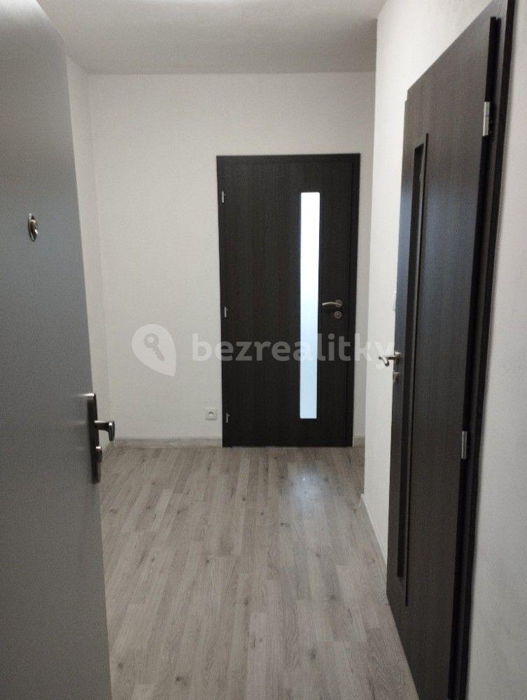 1 bedroom with open-plan kitchen flat to rent, 41 m², Nad Stadionem, Králův Dvůr, Středočeský Region