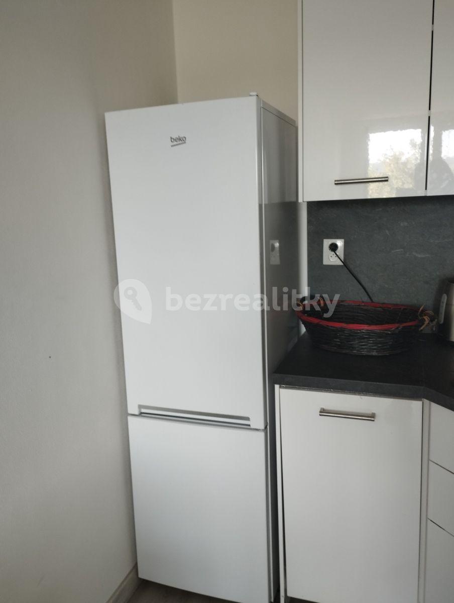 1 bedroom with open-plan kitchen flat to rent, 41 m², Nad Stadionem, Králův Dvůr, Středočeský Region