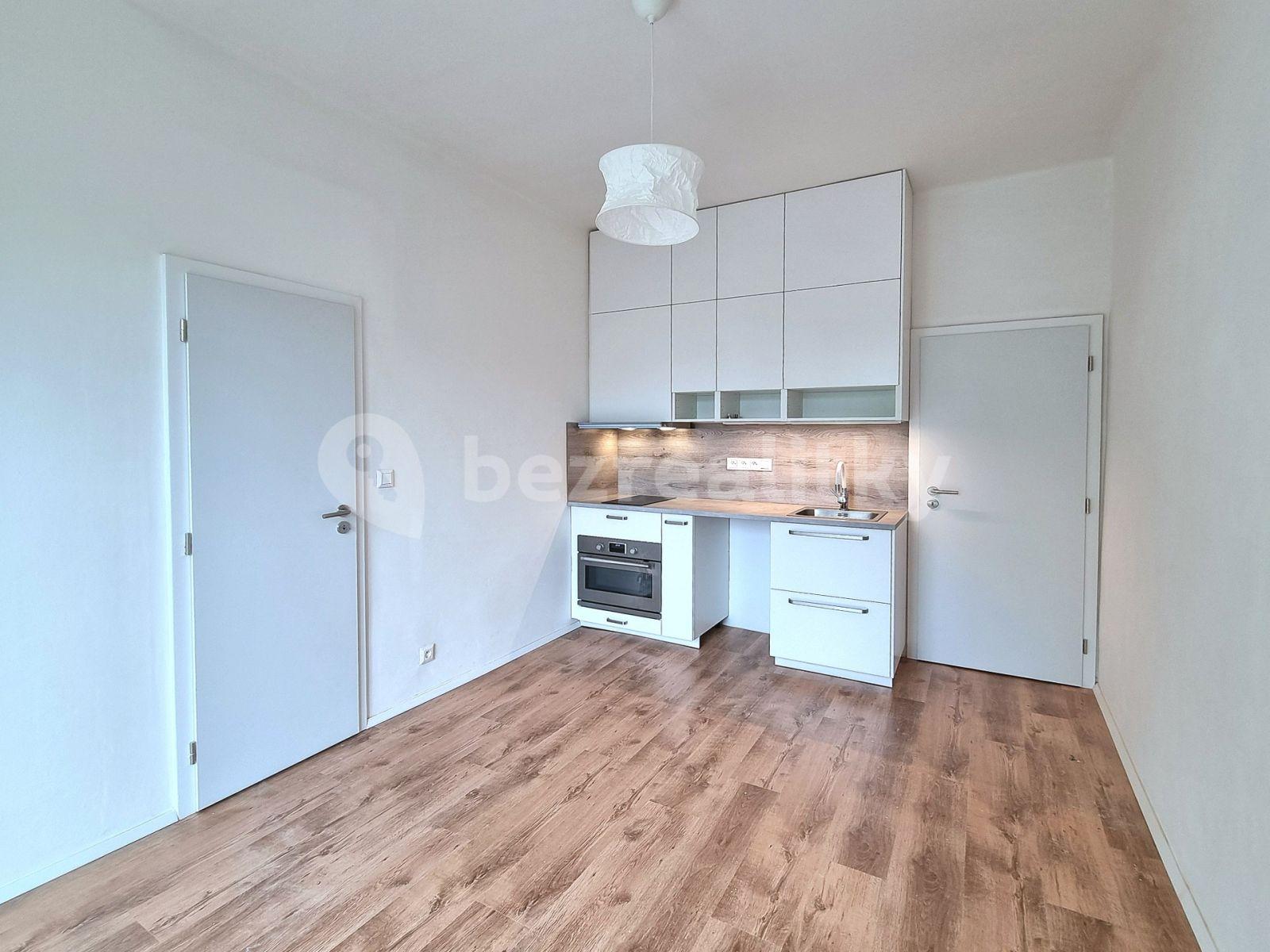 1 bedroom with open-plan kitchen flat to rent, 50 m², Malešická, Prague, Prague