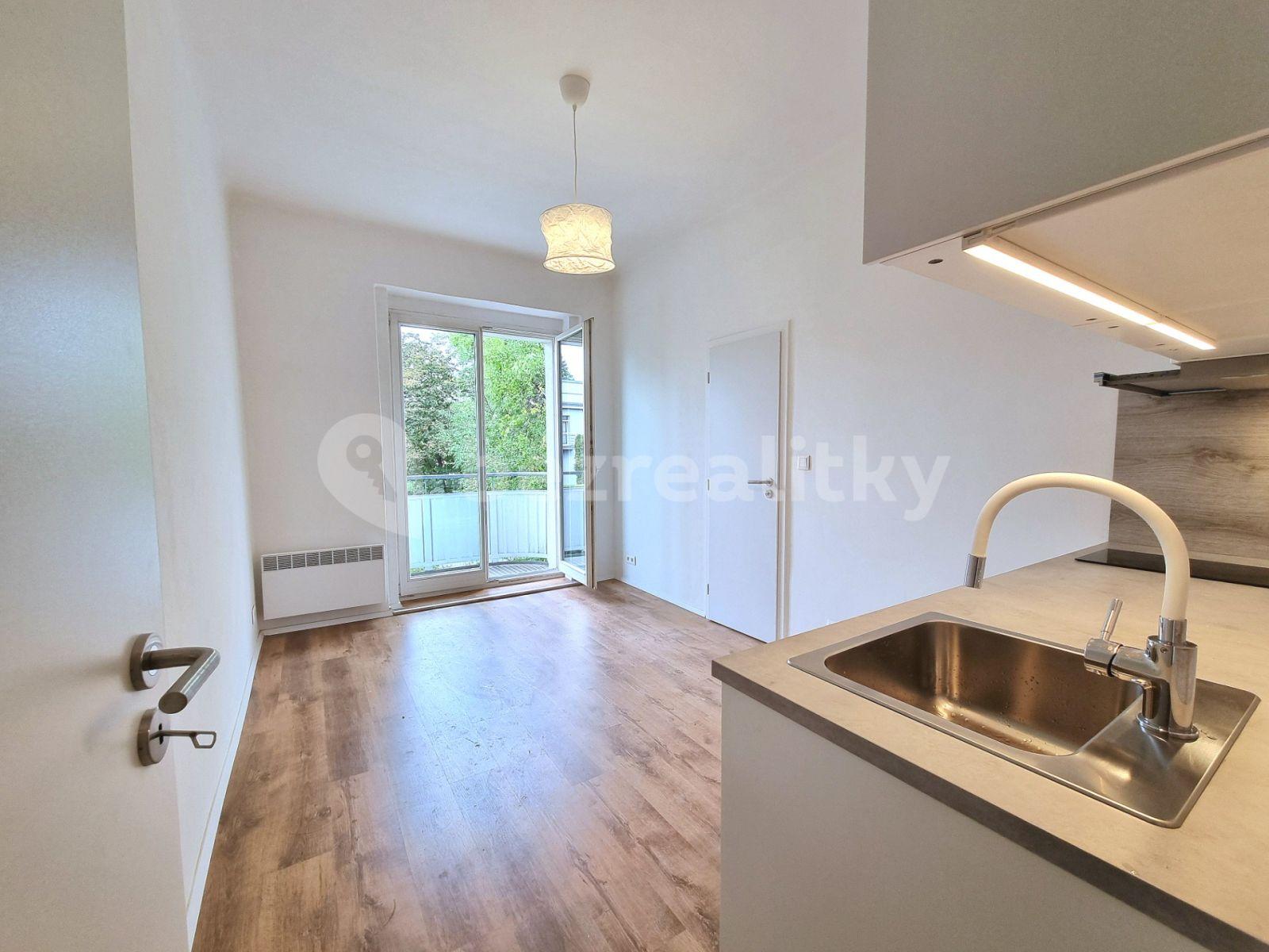 1 bedroom with open-plan kitchen flat to rent, 50 m², Malešická, Prague, Prague