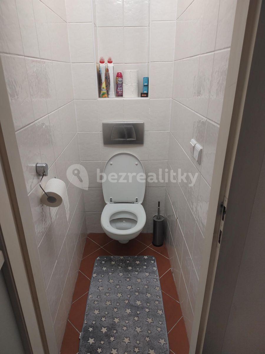 1 bedroom with open-plan kitchen flat to rent, 70 m², Červinkova, Brno, Jihomoravský Region