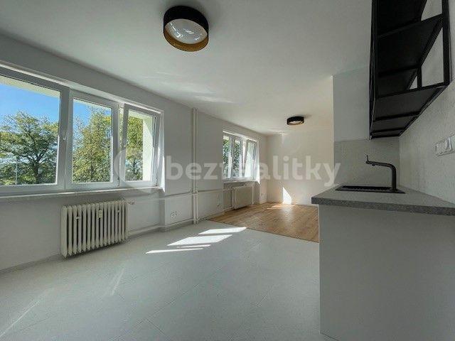 2 bedroom with open-plan kitchen flat to rent, 65 m², Strašice, Plzeňský Region