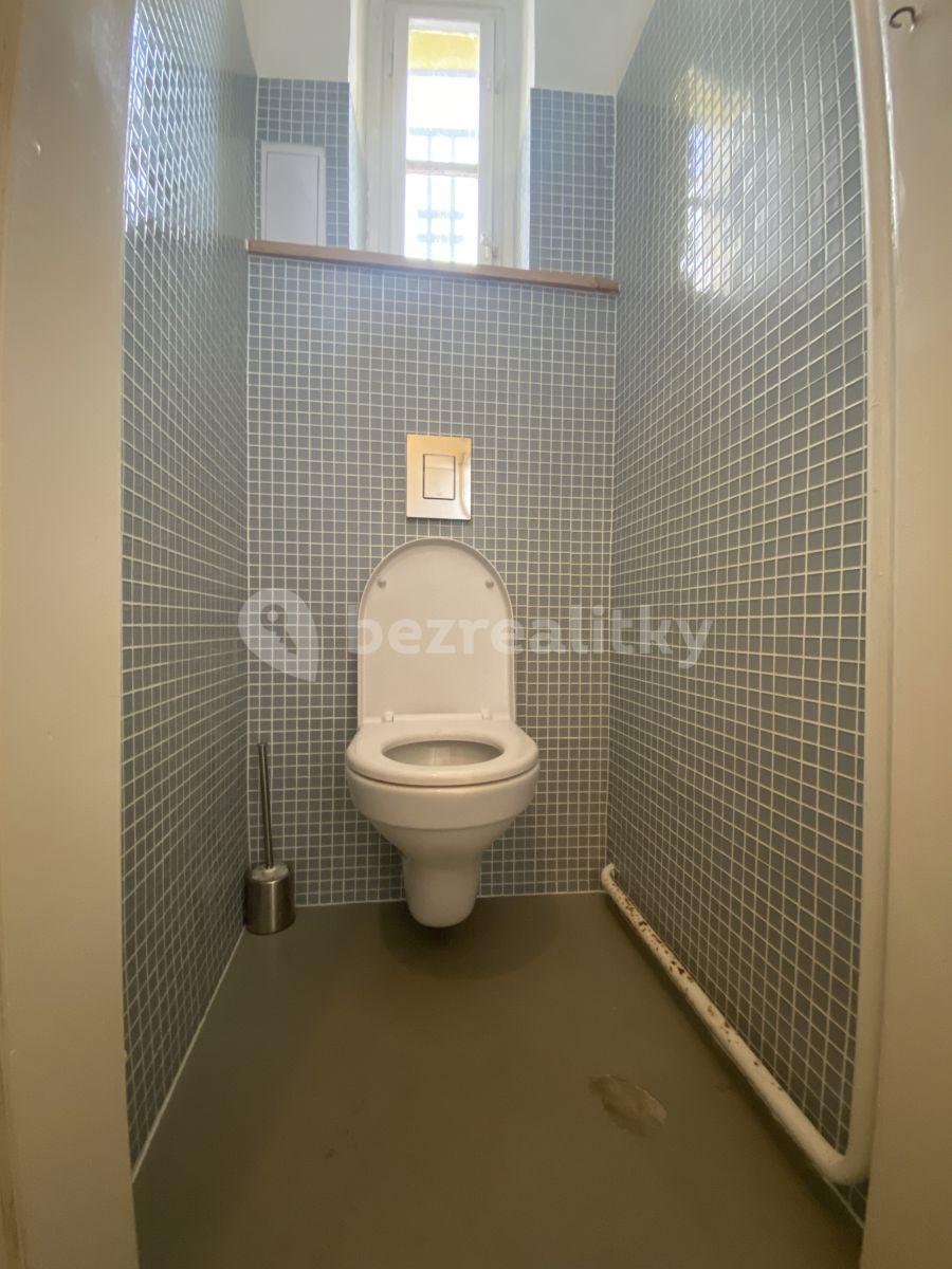 1 bedroom flat to rent, 45 m², Holandská, Prague, Prague