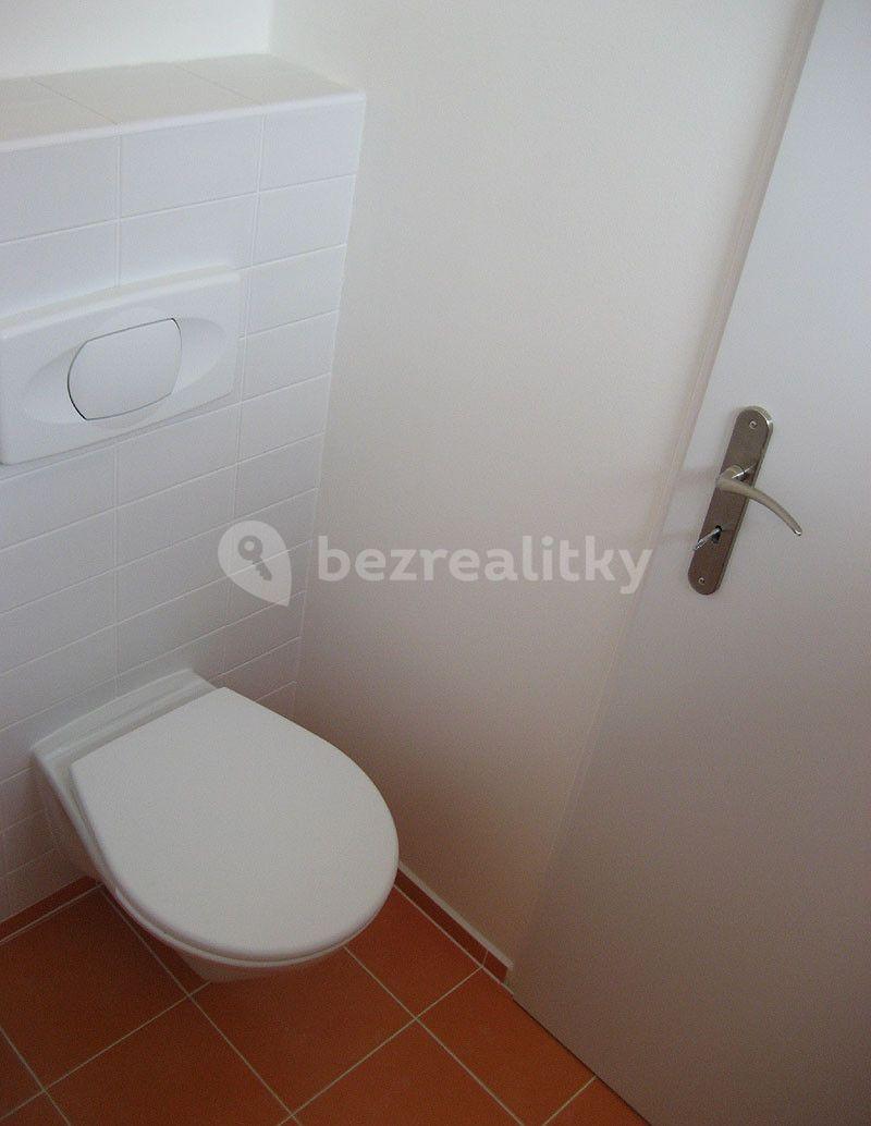 1 bedroom with open-plan kitchen flat to rent, 54 m², Sušická, Liberec, Liberecký Region