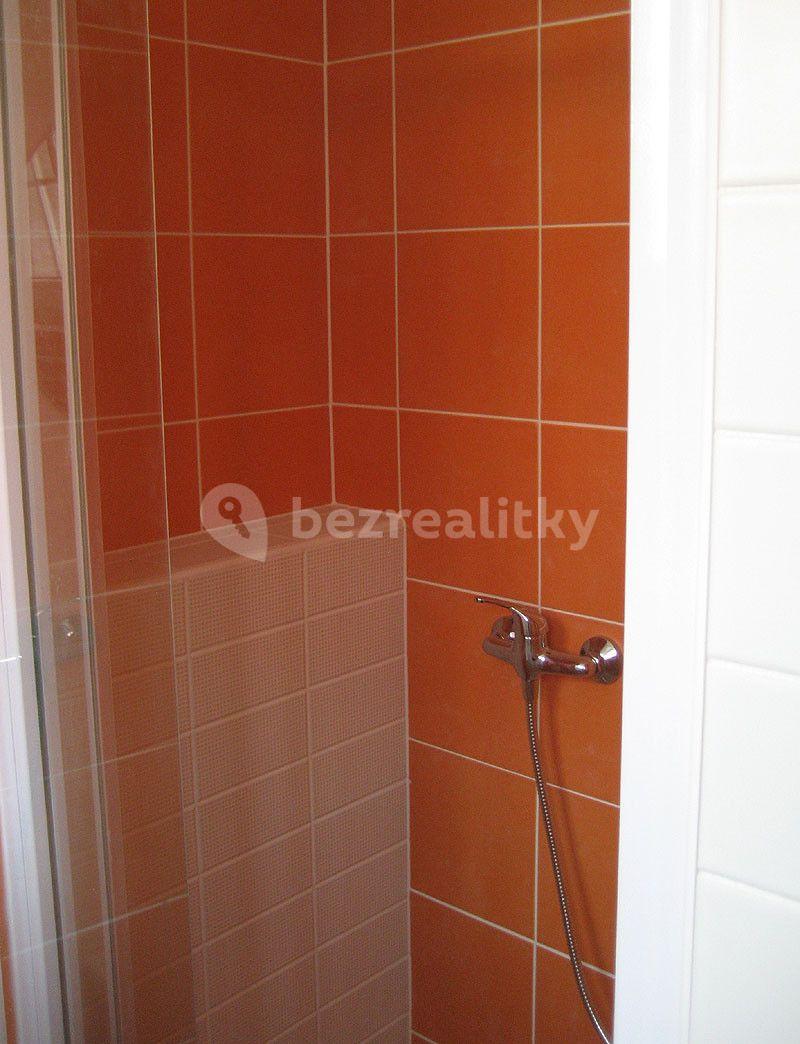 1 bedroom with open-plan kitchen flat to rent, 54 m², Sušická, Liberec, Liberecký Region