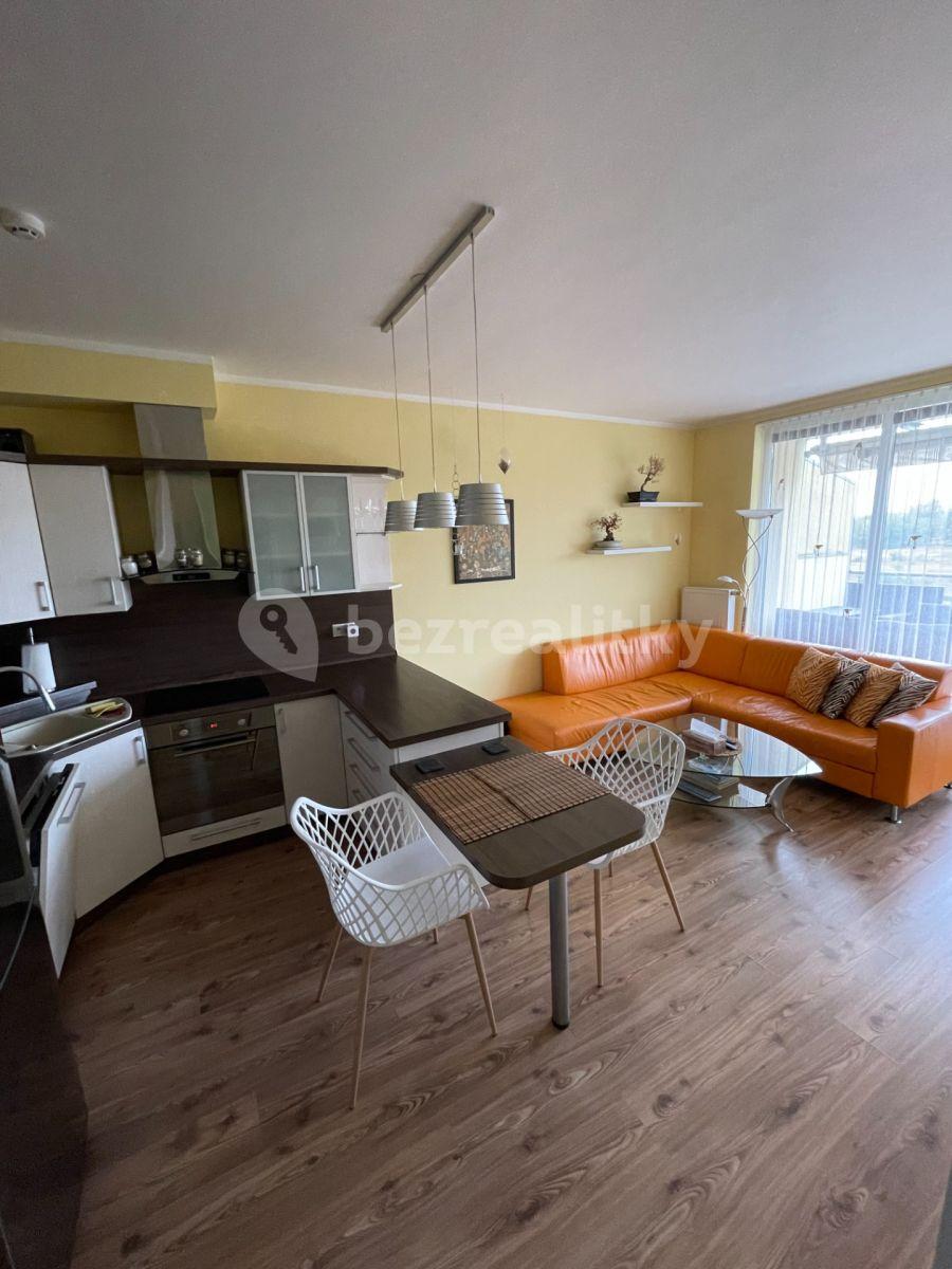 1 bedroom with open-plan kitchen flat to rent, 51 m², Na Radouči, Mladá Boleslav, Středočeský Region