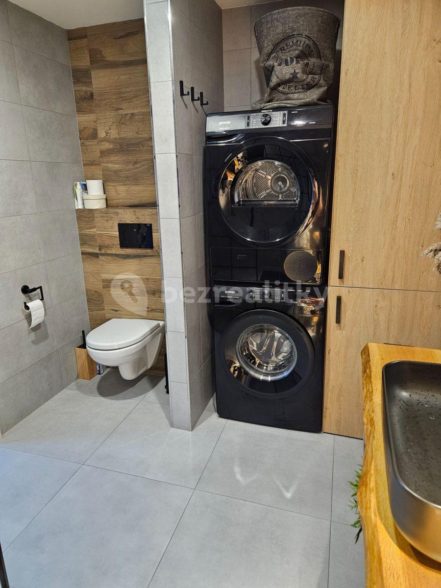 1 bedroom with open-plan kitchen flat to rent, 55 m², U Vrby, Prague, Prague