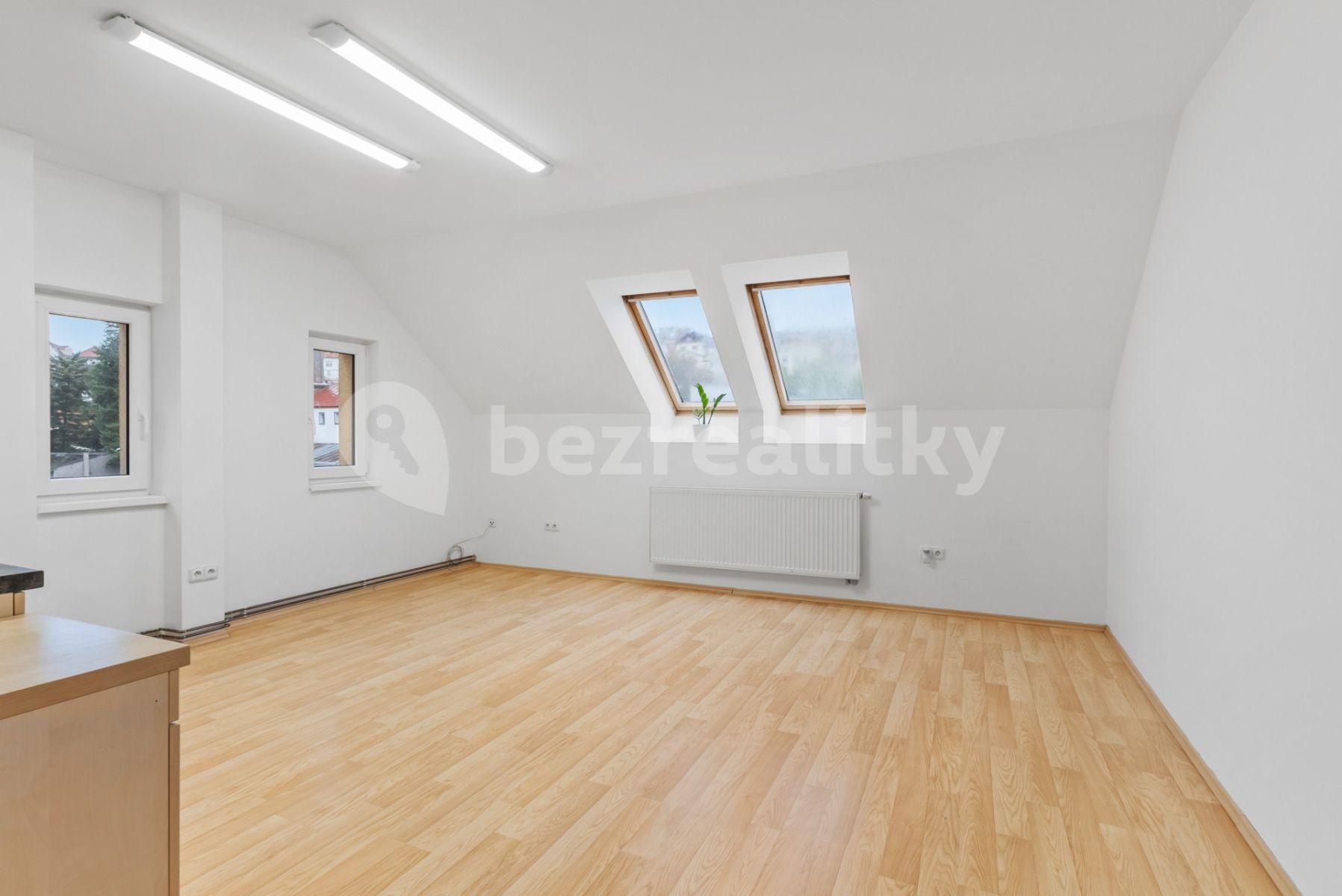 Studio flat to rent, 20 m², Na Šafranici, Mladá Boleslav, Středočeský Region