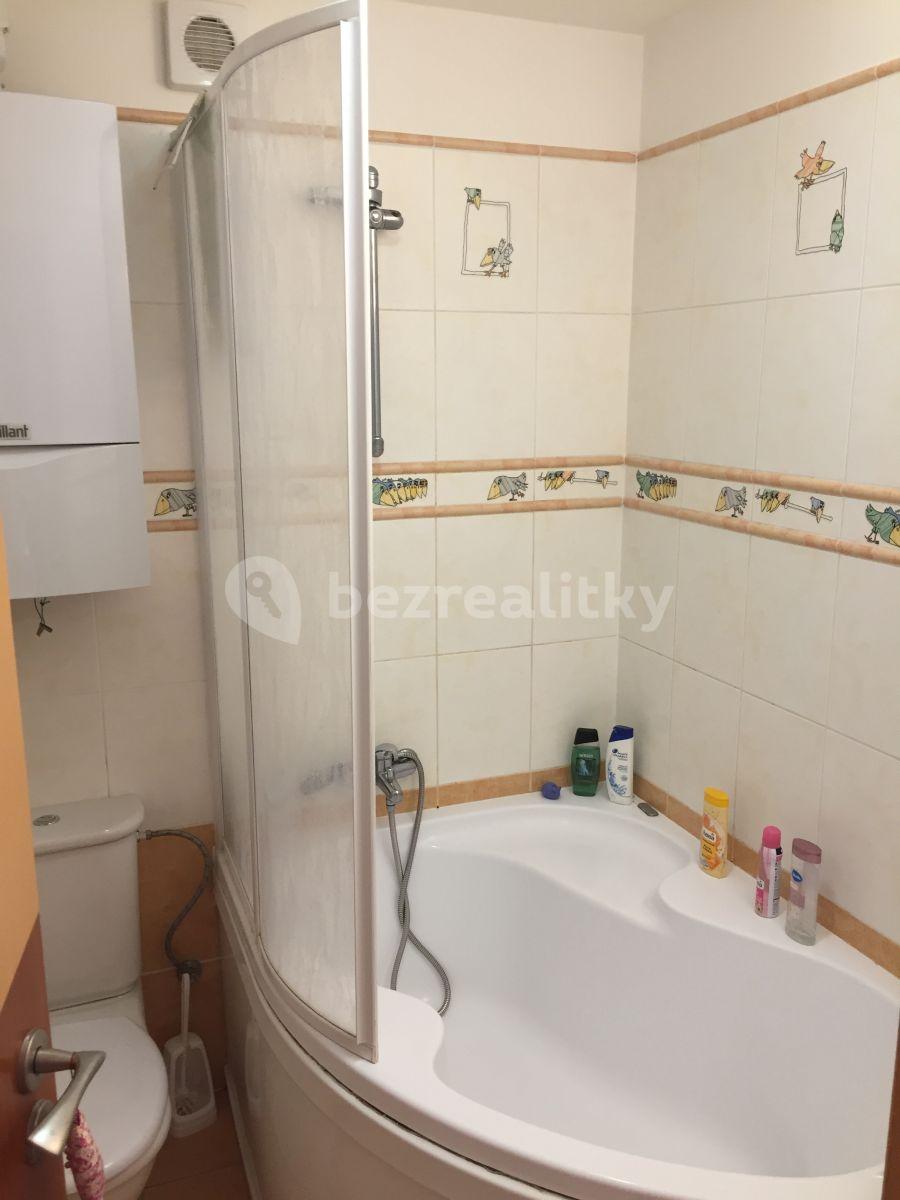 1 bedroom with open-plan kitchen flat to rent, 50 m², Nuselská, Prague, Prague